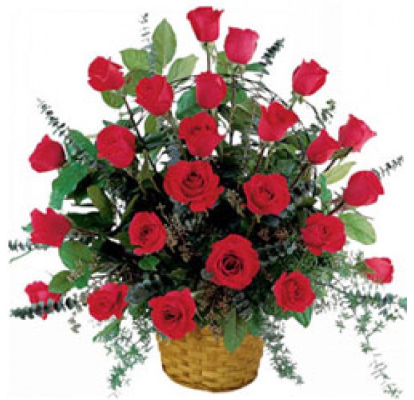 Magnificent Red Coloured Roses Arrangement in a Basket